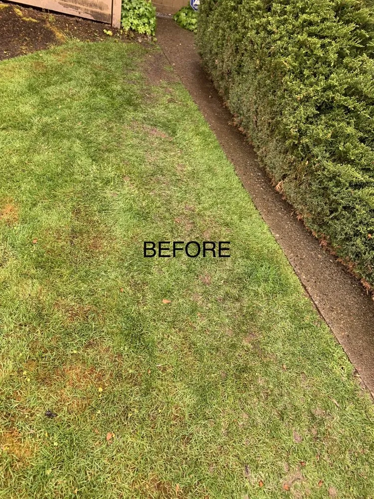 Expert landscaping services for homes in Everett, WA by Jerry’s Landscaping