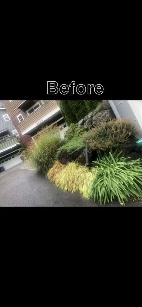 Custom lawn mowing service experts serving Everett, WA - Jerry’s Landscaping