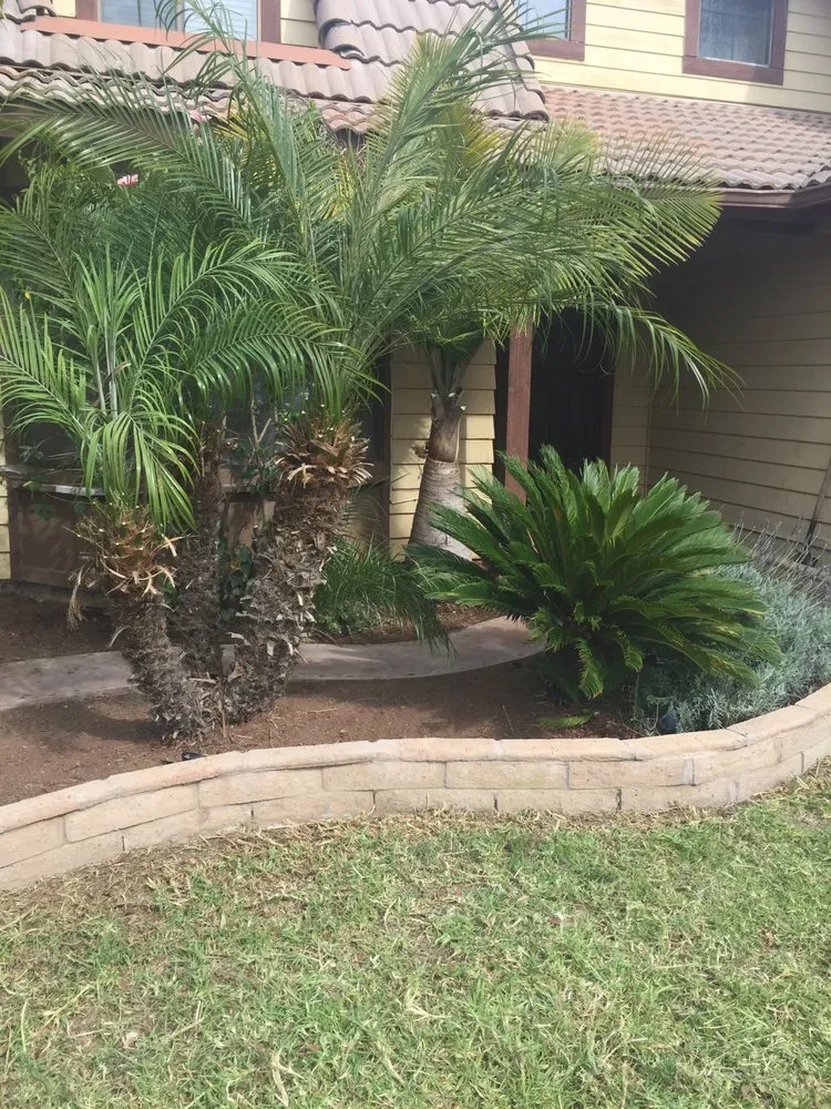Expert lawn mowing service for year-round maintenance across Laguna, CA - Jerry's Landscaping