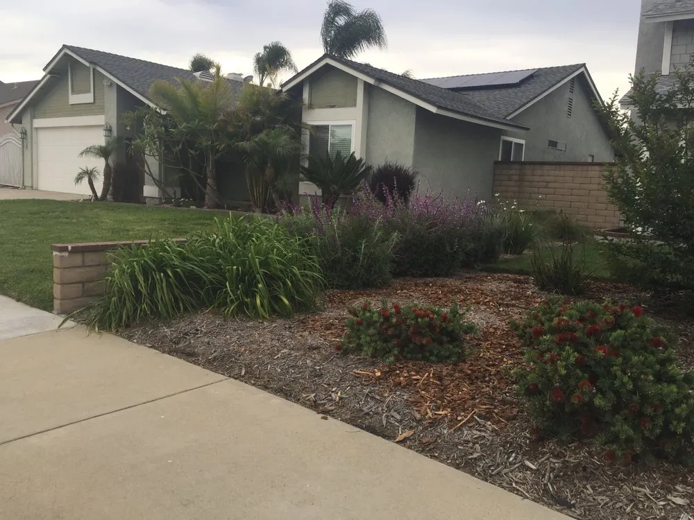 Affordable landscaping services for homes in Laguna, CA by Jerry's Landscaping