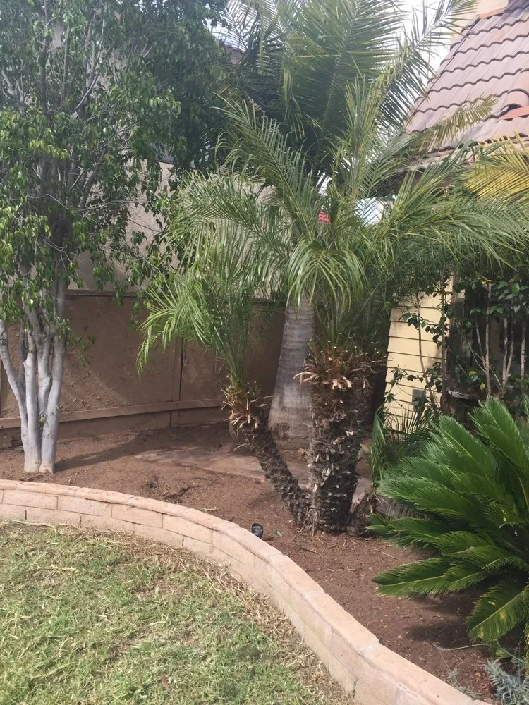Trusted landscaping services experts serving Laguna, CA - Jerry's Landscaping