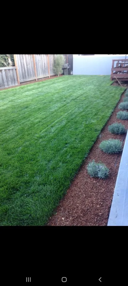 Local lawn care service for homes across Berkeley, CA - Jerry's Landscaping Services