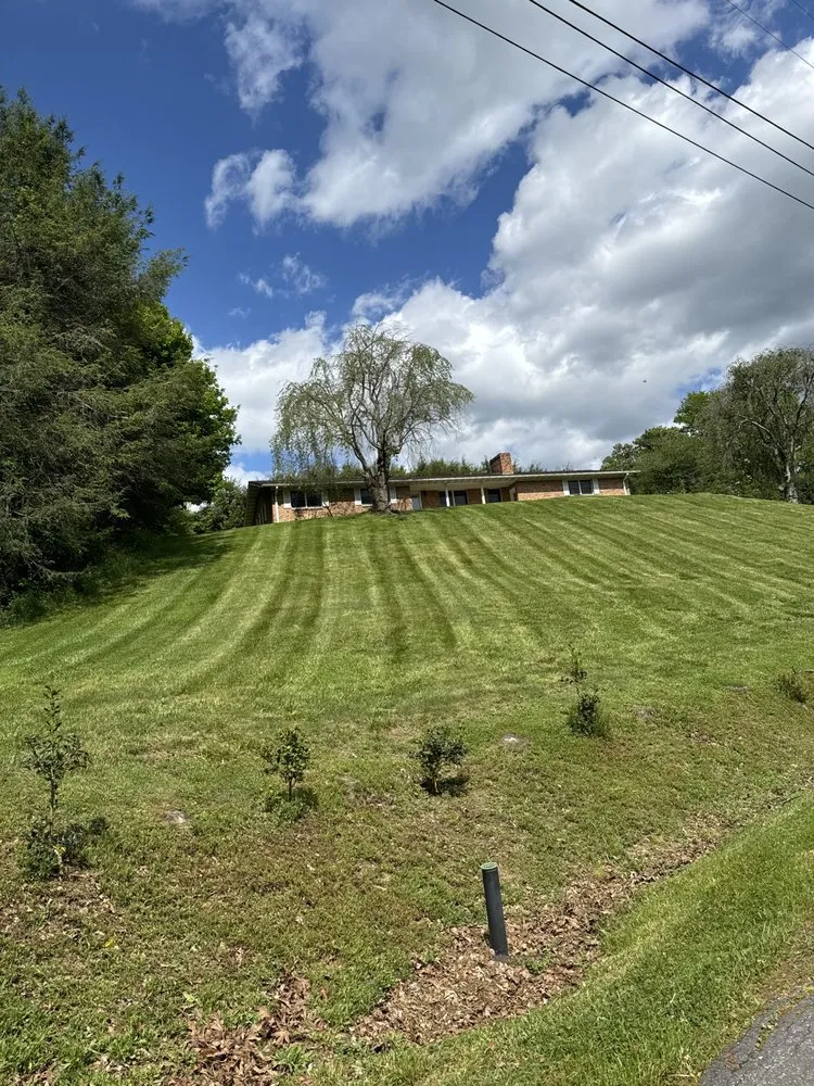 Reliable yard cleanup service in Burnsville, NC by Jerrys Lawn and Roofing