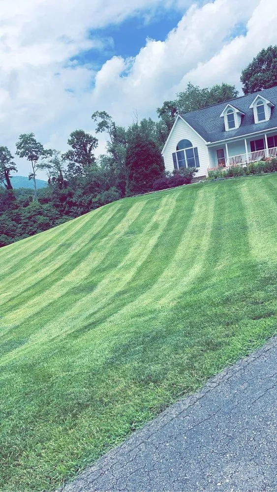 Expert yard maintenance for homes in Burnsville, NC by Jerrys Lawn and Roofing