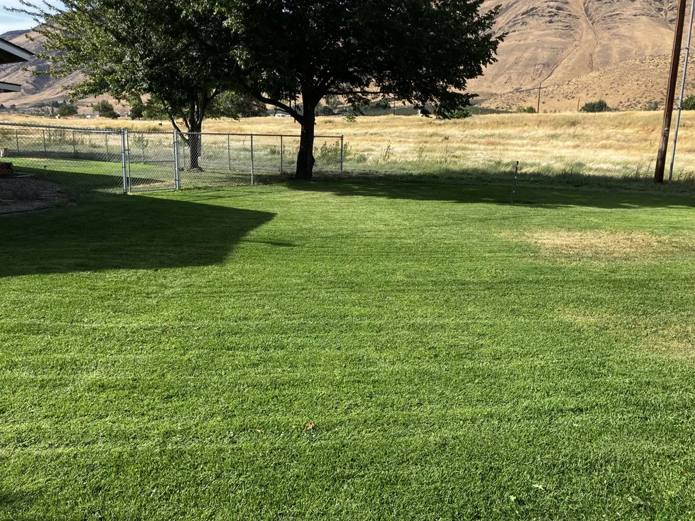 Expert yard cleanup service in Naches, WA by Jerry’s Lawn Care & Mullinnex Mowing