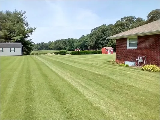 Jerry's lawn care Logo