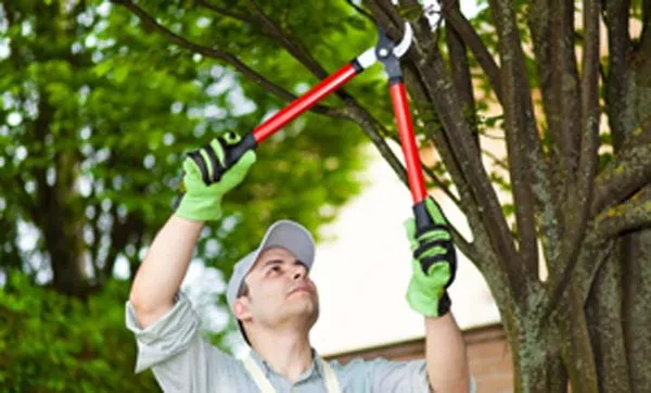 Jerry's Lawn, Landscape & Tree Care