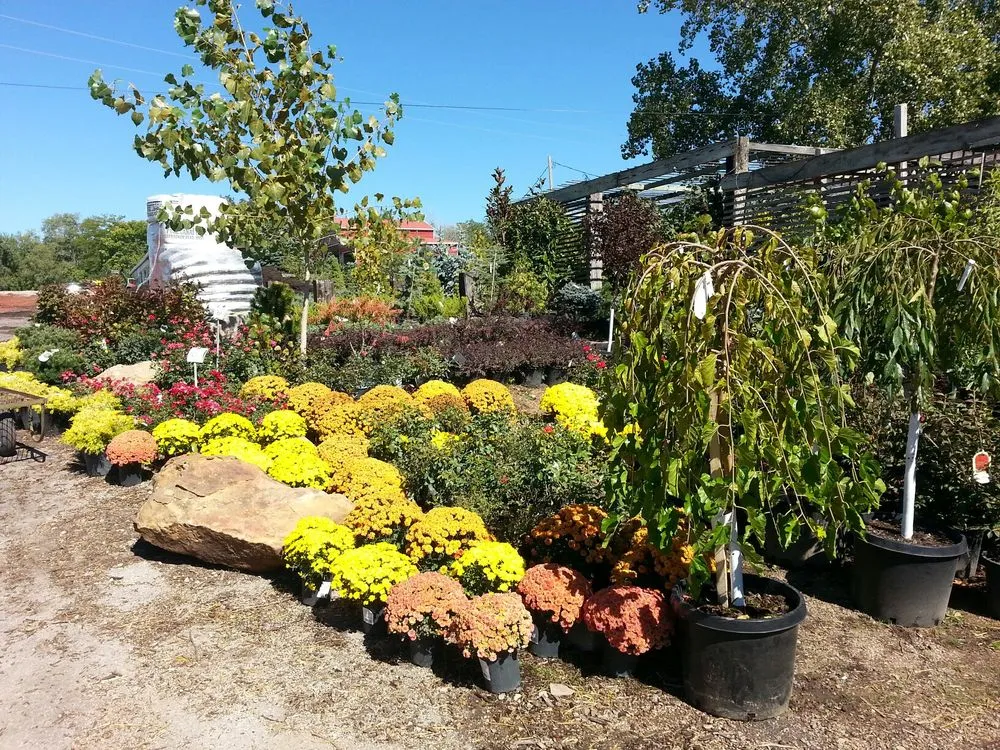 Affordable outdoor landscaping in Kansas City, KS by Jerry's Nursery & Landscaping