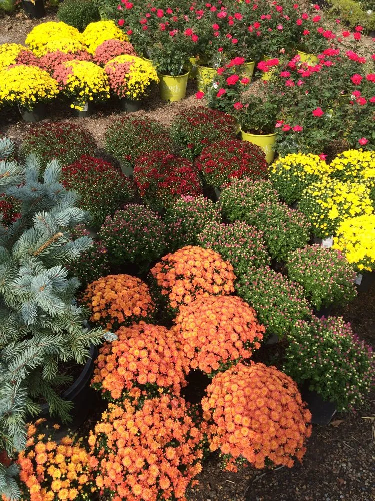 Reliable landscape installation in Kansas City, KS - Jerry's Nursery & Landscaping