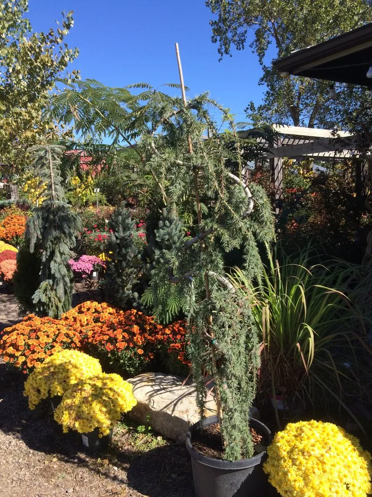 Custom lawn mowing service near you in Kansas City, KS by Jerry's Nursery & Landscaping