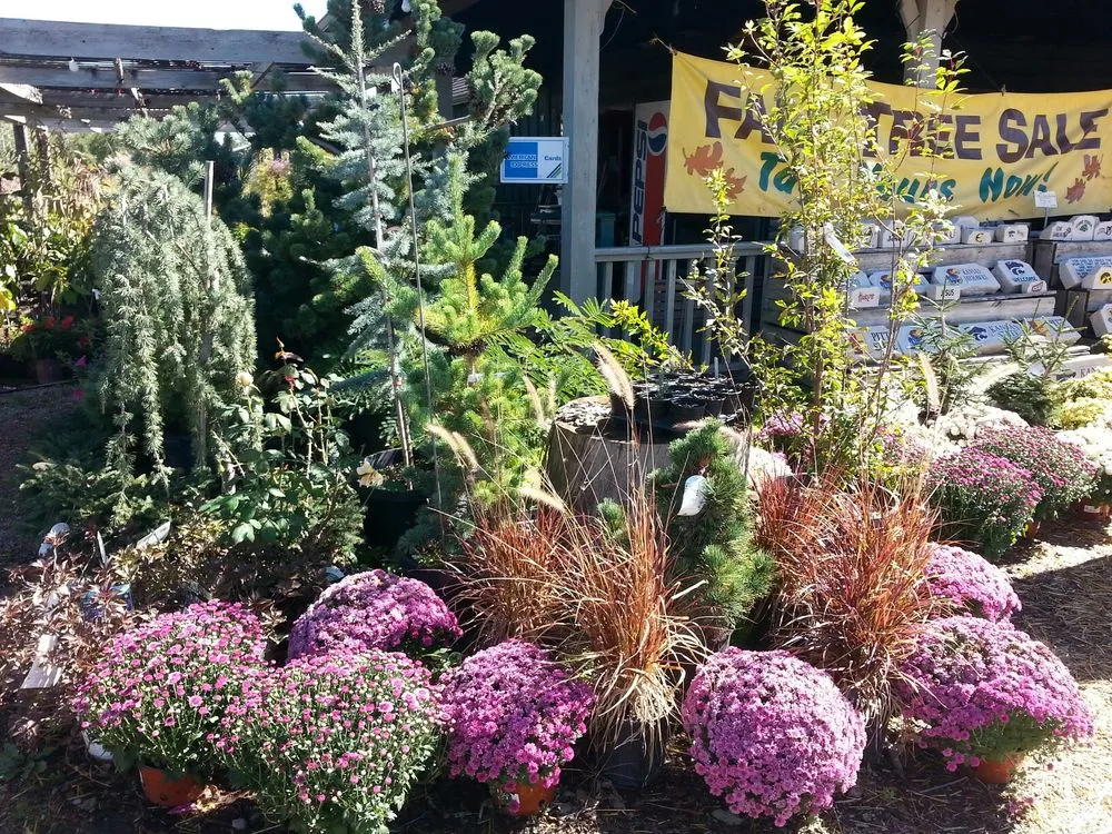 Top-rated lawn mowing service in Kansas City, KS - Jerry's Nursery & Landscaping