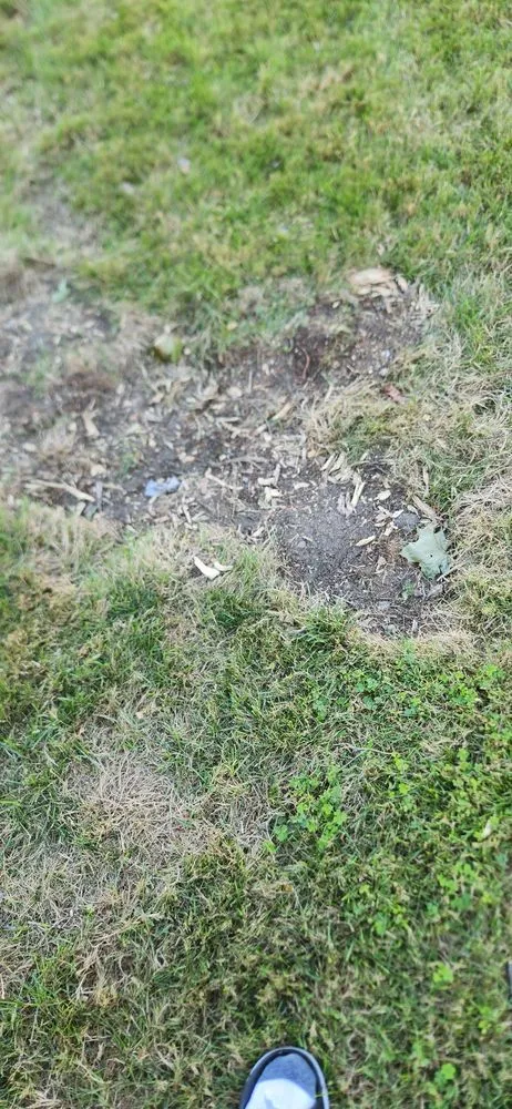 Custom landscaping services for homes across Corning, NY - Jerry's Tree Service