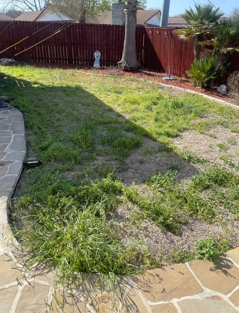 Expert lawn care service for beautiful yards in San Antonio, TX by Jerry’s Urban Scapes