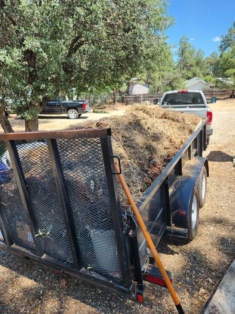 Trusted landscape design in Dewey-Humboldt, AZ - Jerrys Yard Care and Haul Off