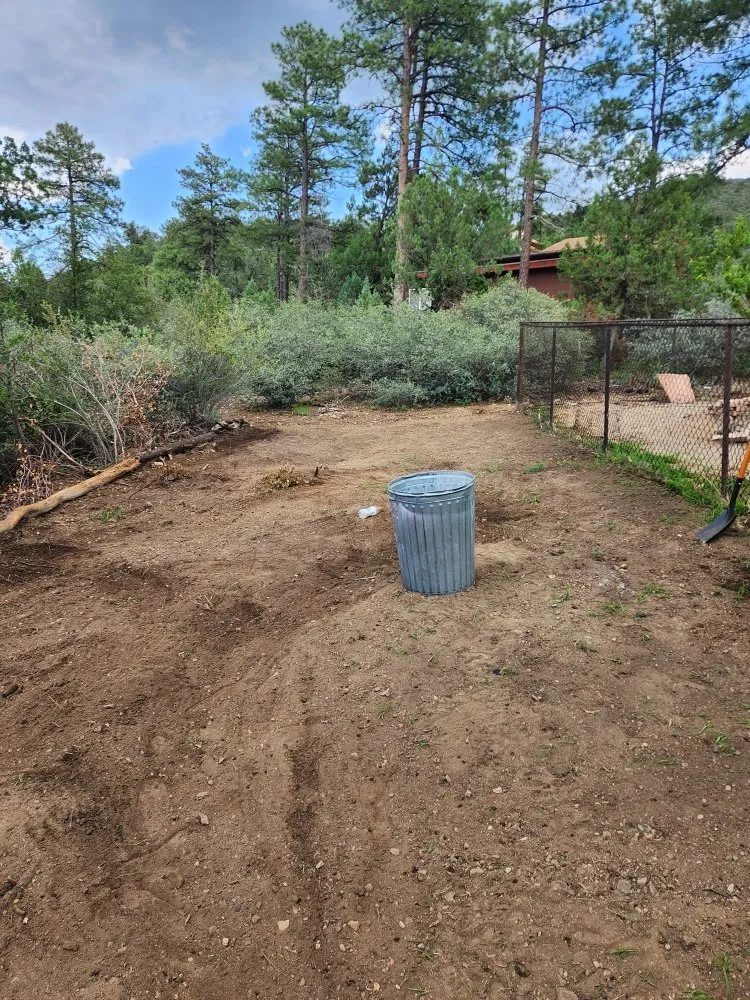 Top-rated yard maintenance in Dewey-Humboldt, AZ - Jerrys Yard Care and Haul Off
