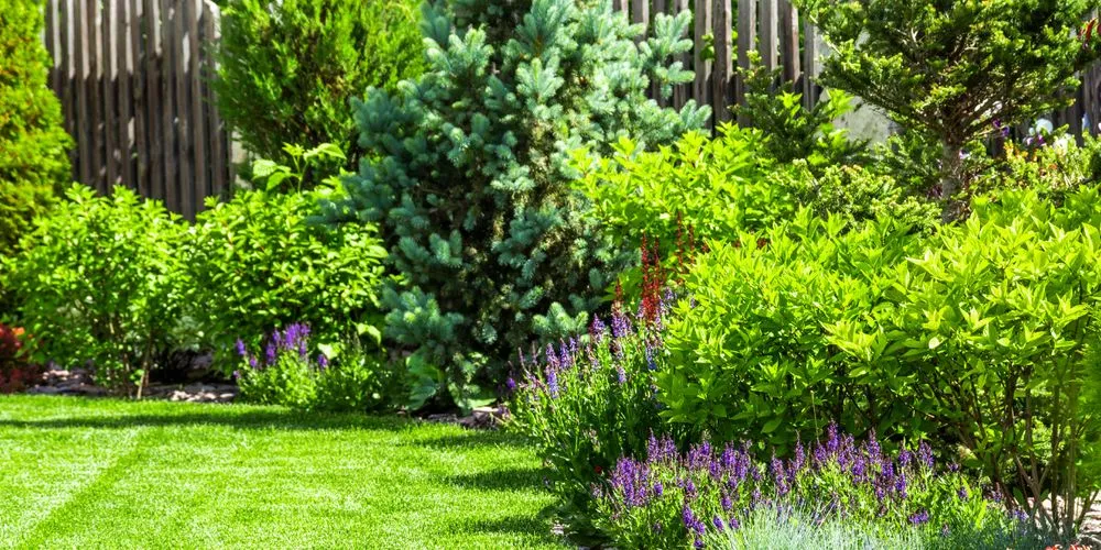 Affordable lawn mowing service with custom design across Jersey City, NJ - Jersey City Landscaping Experts