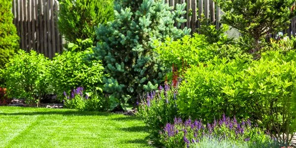 Jersey City Landscaping Experts