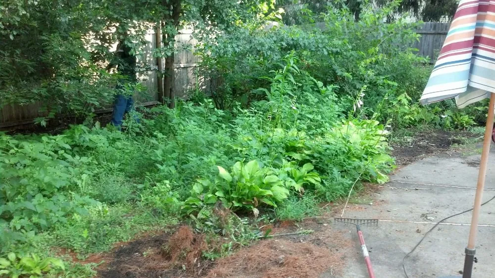 Local yard maintenance for beautiful yards across Manalapan, NJ - Jersey Grounds Management