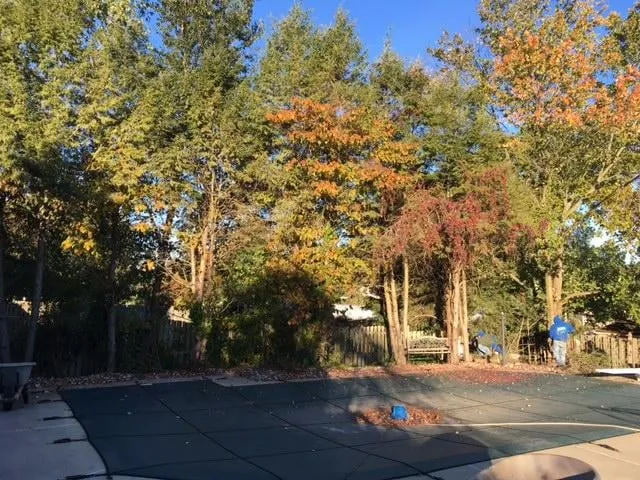 Reliable yard maintenance in Manalapan, NJ - Jersey Grounds Management