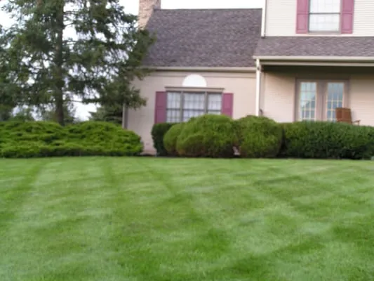 Jersey Joes Lawn Service Maintenance