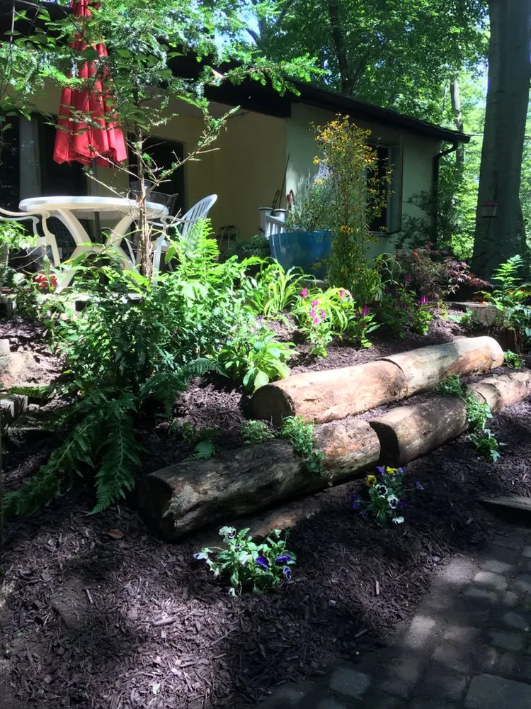 Trusted yard cleanup service in Mount Laurel, NJ by Jersey Lawn Care