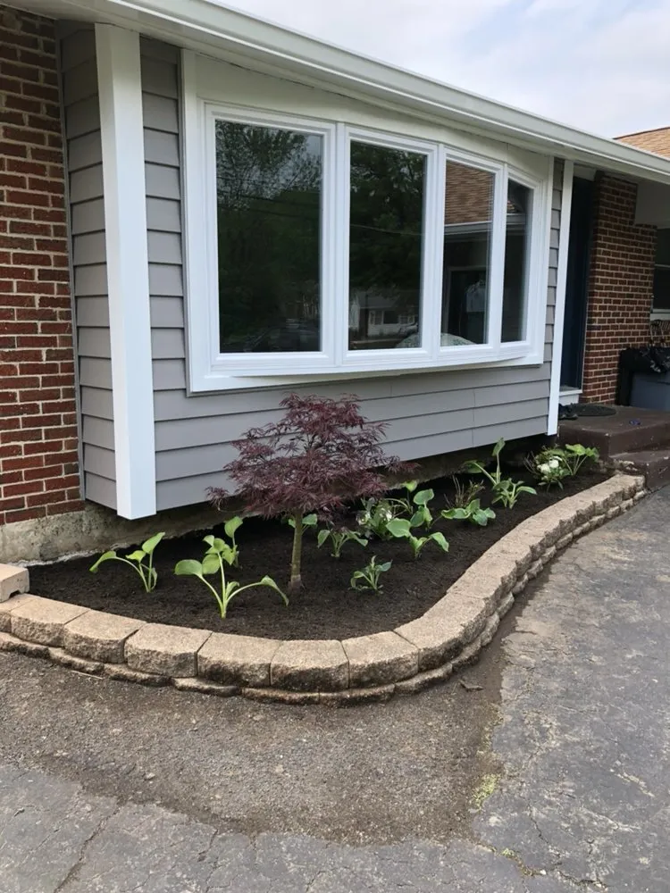 Local yard cleanup service experts serving Mount Laurel, NJ - Jersey Lawn Care