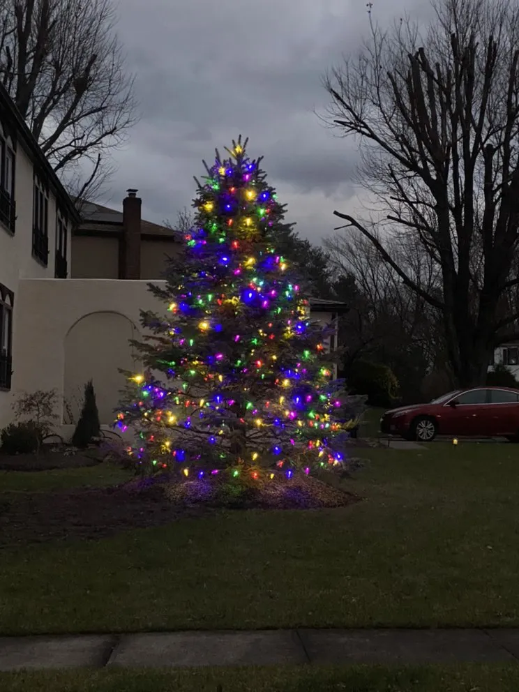 Reliable landscaping services for year-round maintenance across Mount Laurel, NJ - Jersey Lawn Care