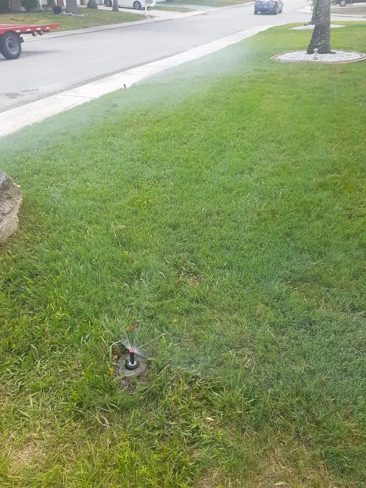 Top-rated lawn care service in Hudson, FL by Jersey Mike's Lawn Service