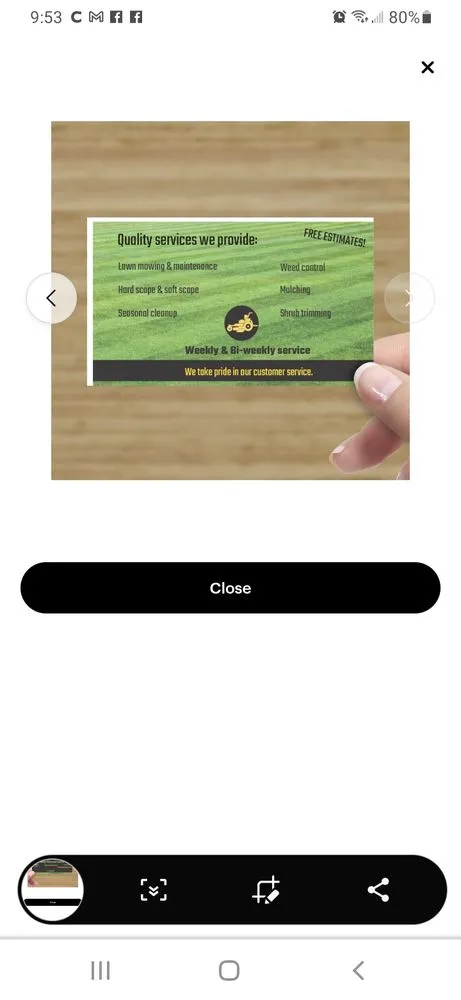 Custom yard cleanup service in Hudson, FL by Jersey Mike's Lawn Service