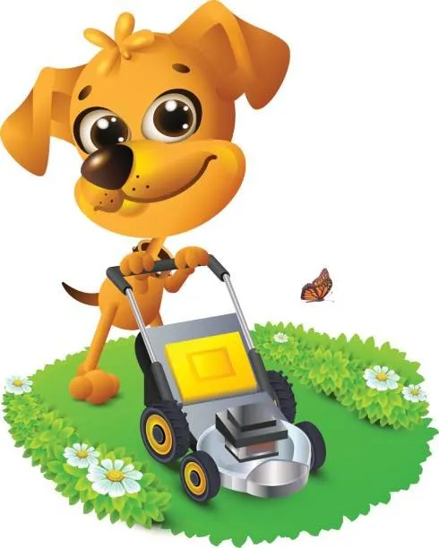 Expert landscape design for beautiful yards in Hudson, FL by Jersey Mike's Lawn Service