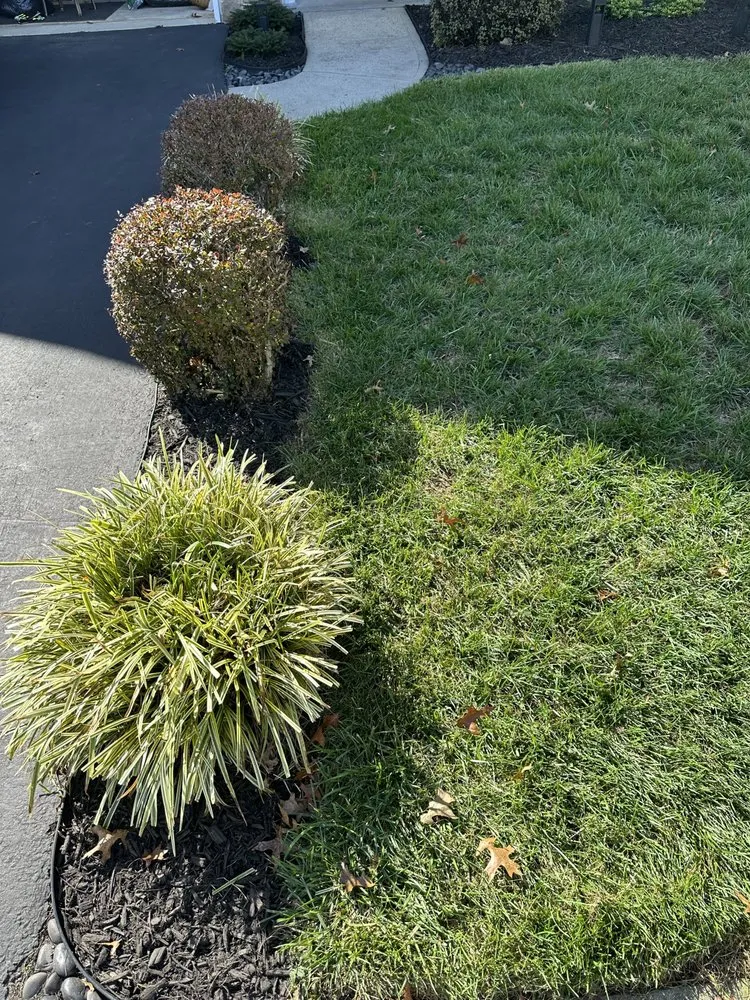 Trusted lawn mowing service in Lacey Township, NJ by Jersey Shore Landscapes