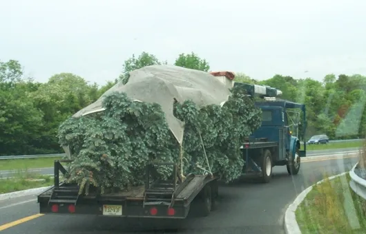 Expert landscaping services for year-round maintenance in Neptune, NJ by Jersey Shore Landscaping