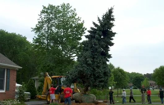 Expert yard cleanup service in Neptune, NJ by Jersey Shore Landscaping