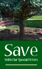 Affordable residential landscaping in Neptune, NJ by Jersey Shore Landscaping