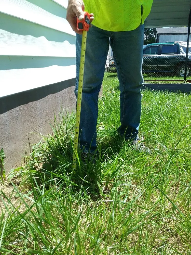 Reliable landscaping services for homes across Moneta, VA - Jersey Shore Lawn and Land Maintenance