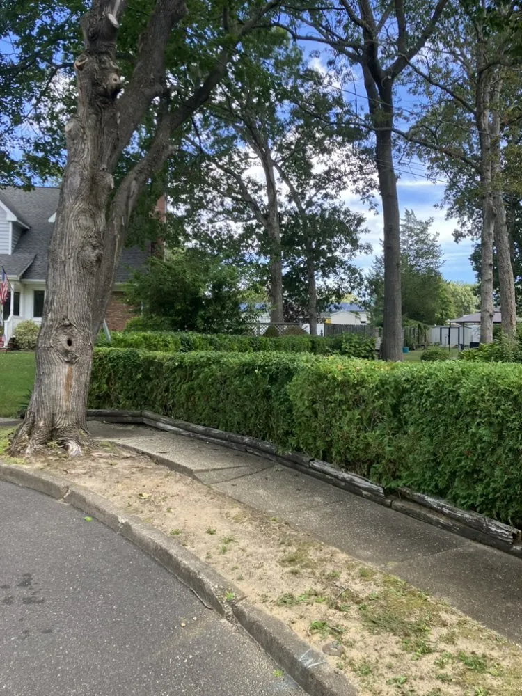 Trusted residential landscaping near you across Toms River, NJ - Jersey Shore Lawn Service