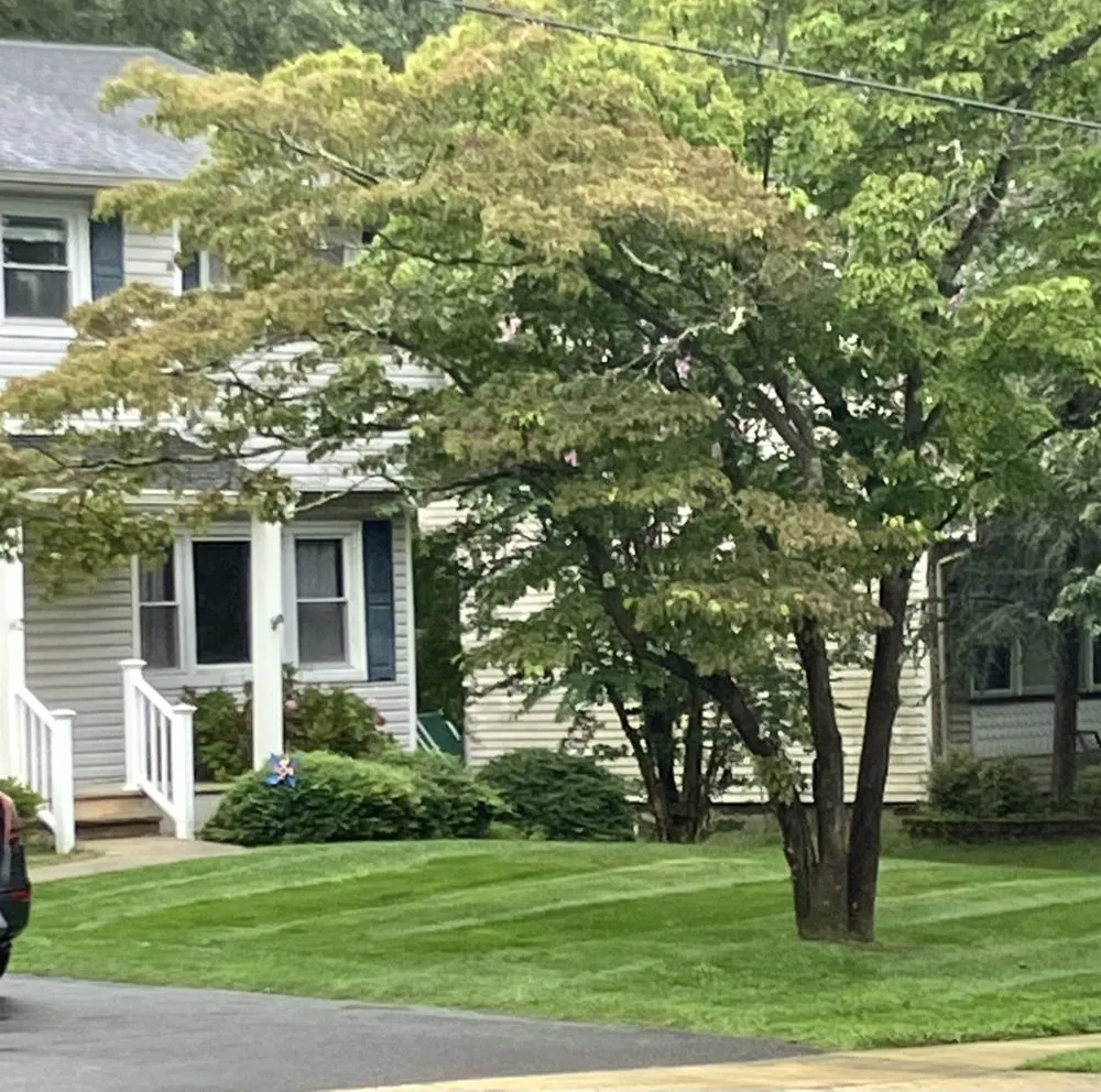 Reliable residential landscaping for residential properties in Toms River, NJ by Jersey Shore Lawn Service