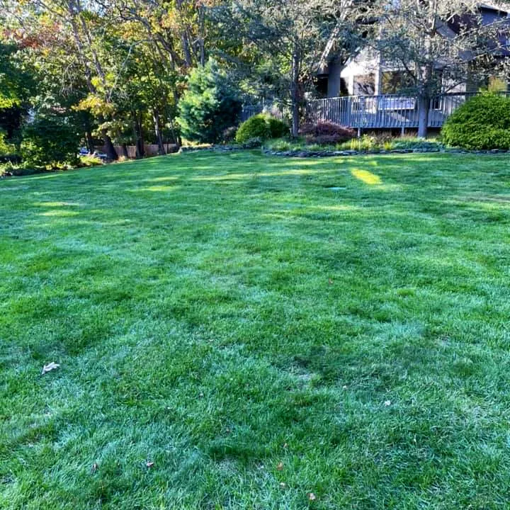 Local outdoor landscaping experts serving Ocean Township, NJ - Jersey Shore Turf