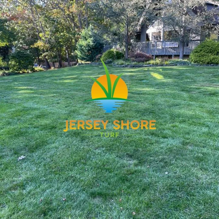 Professional landscaping services for year-round maintenance in Ocean Township, NJ by Jersey Shore Turf