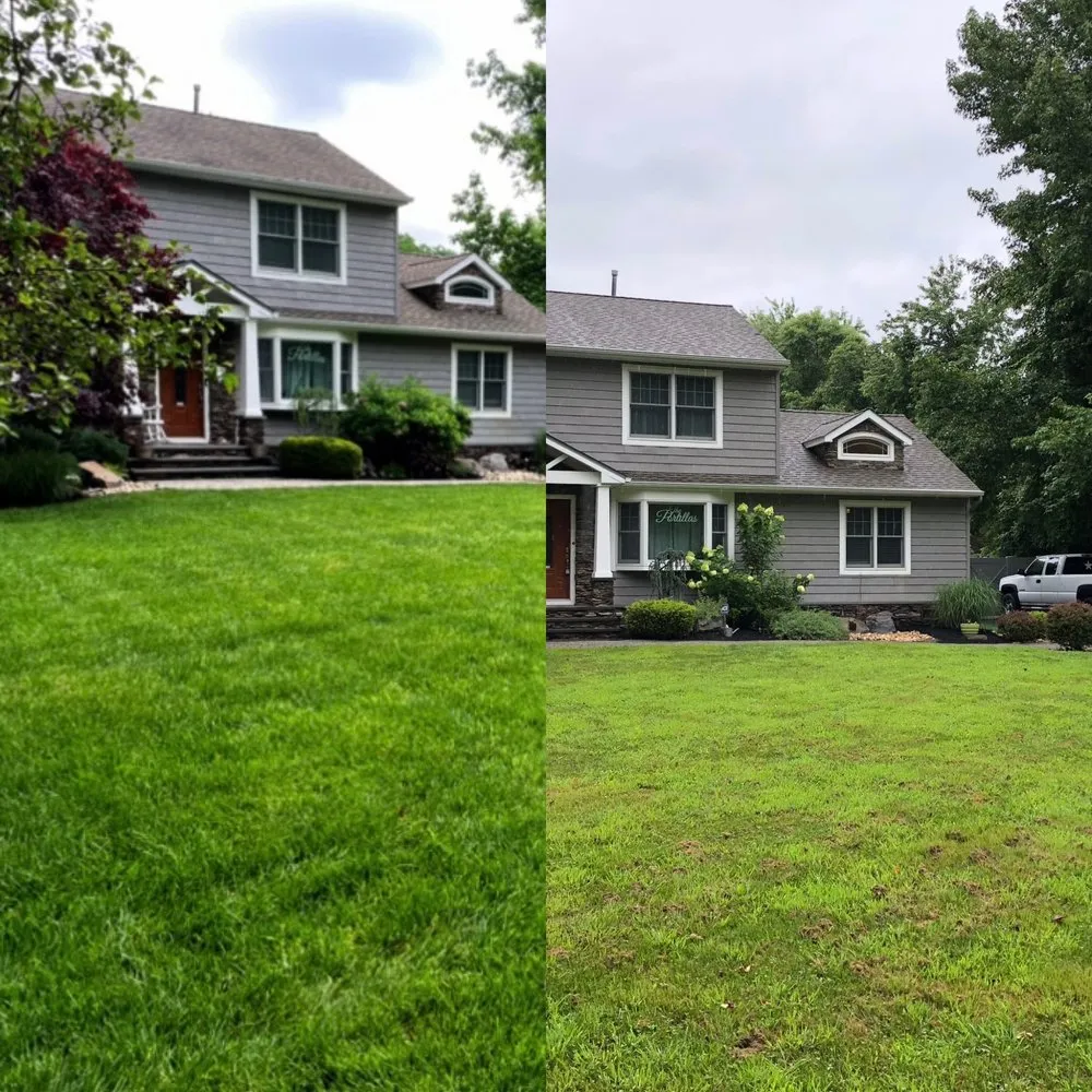 Trusted outdoor landscaping experts serving Ocean Township, NJ - Jersey Shore Turf