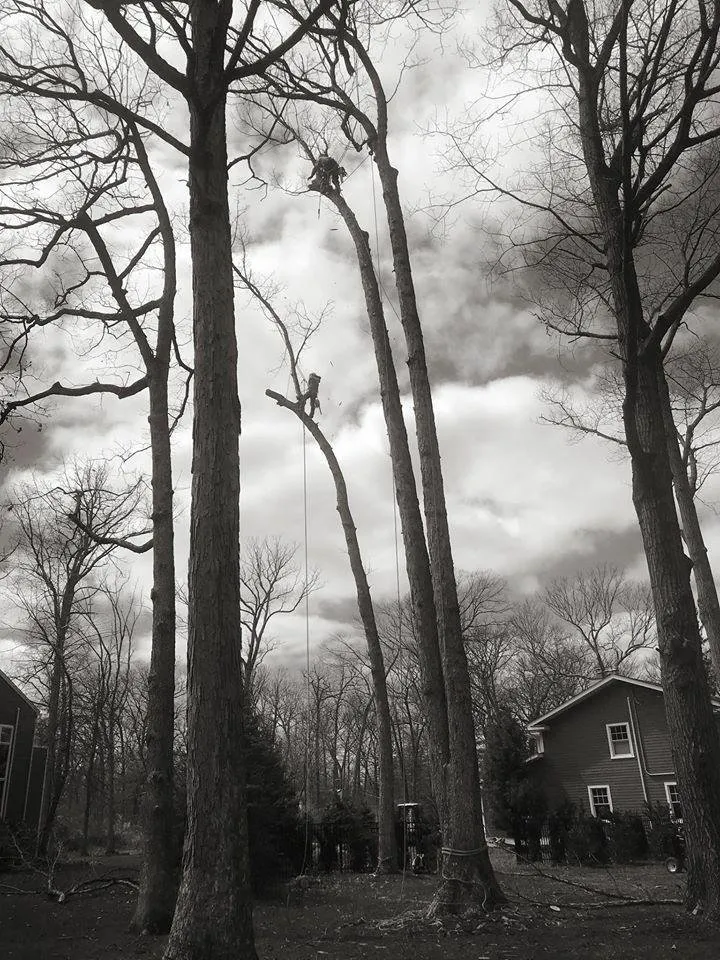 Reliable yard maintenance for outdoor upgrades across Hopatcong, NJ - Jersey’s Urban Axe Men