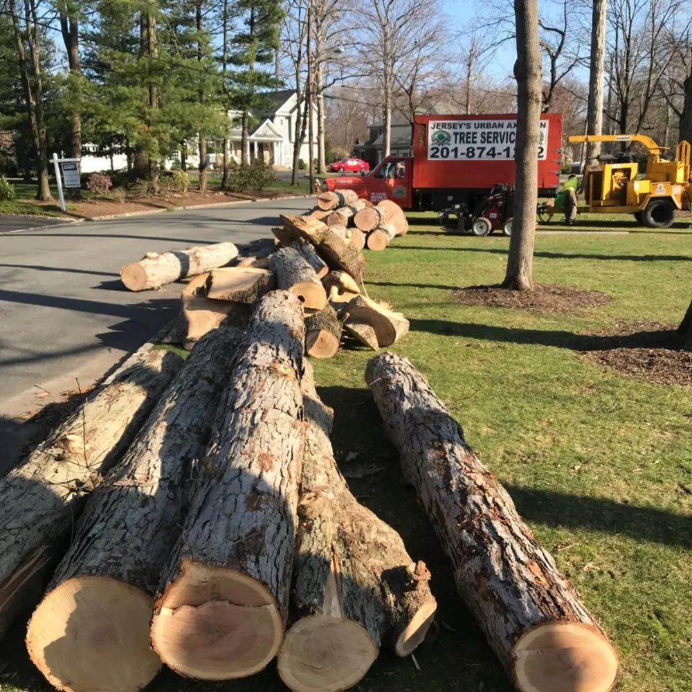 Trusted landscaping services near you across Hopatcong, NJ - Jersey’s Urban Axe Men