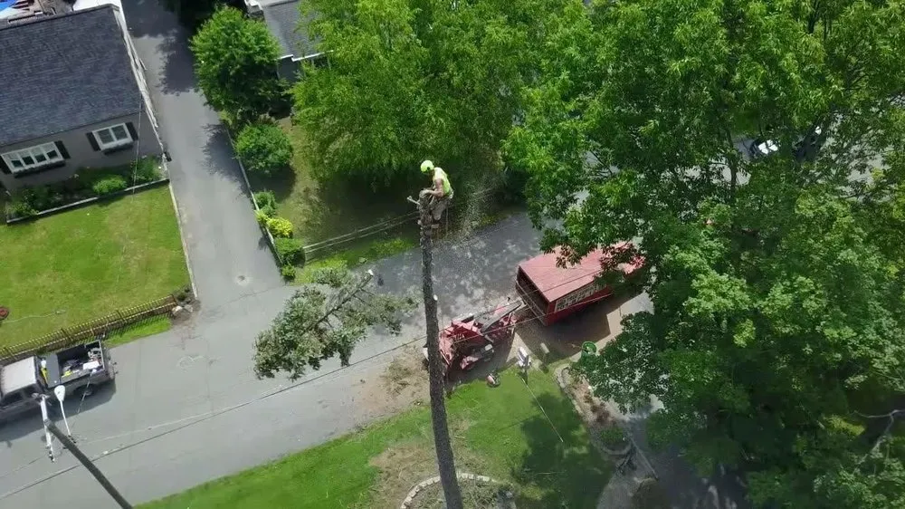 Local garden landscaping with custom design in Hopatcong, NJ by Jersey’s Urban Axe Men