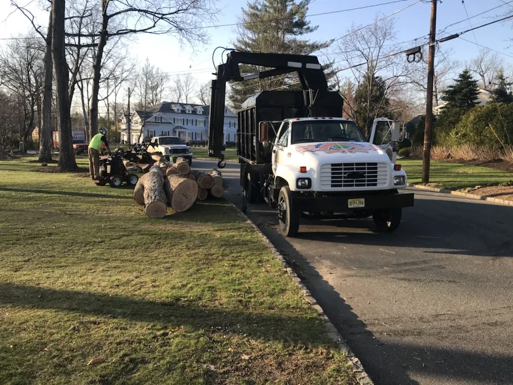 Custom landscape installation experts serving Hopatcong, NJ - Jersey’s Urban Axe Men