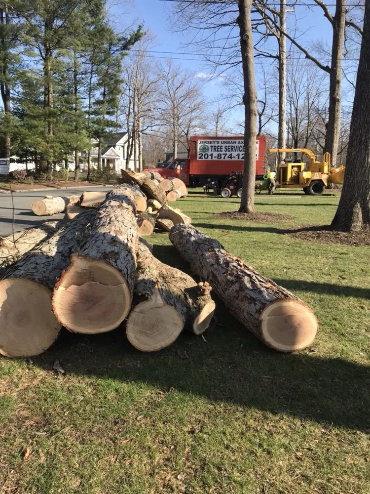 Reliable yard maintenance in Hopatcong, NJ - Jersey’s Urban Axe Men