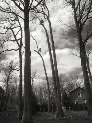 Jersey’s Urban Axe Men