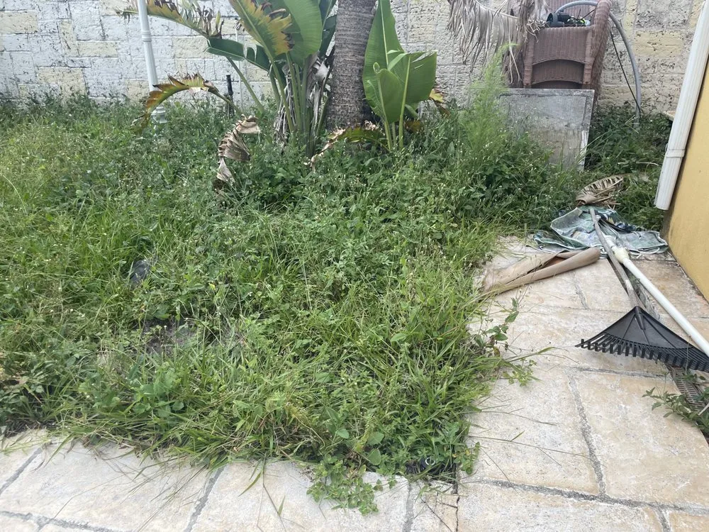 Local landscape design in Orlando, FL by Jeryel’s Landscaping