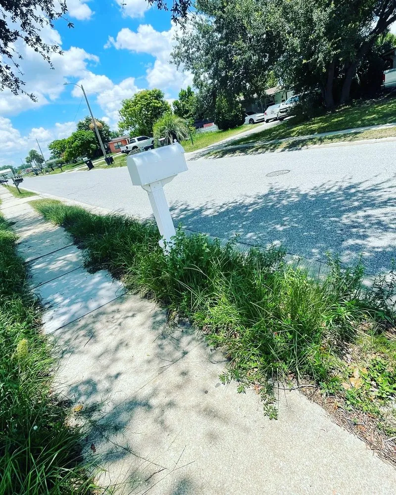 Affordable residential landscaping experts serving Orlando, FL - Jeryel’s Landscaping