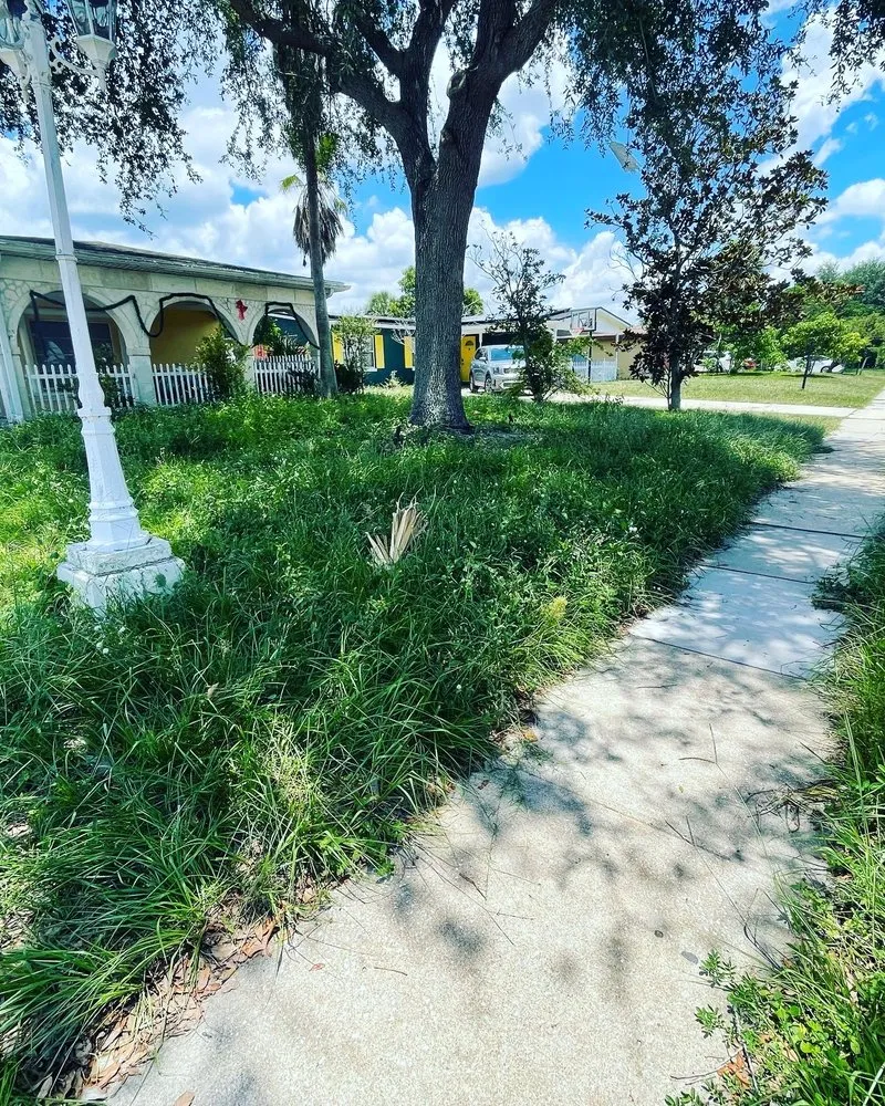 Reliable garden landscaping experts serving Orlando, FL - Jeryel’s Landscaping