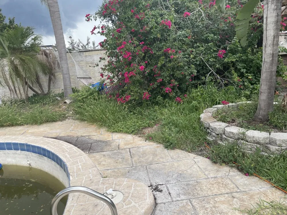 Local residential landscaping for year-round maintenance in Orlando, FL by Jeryel’s Landscaping